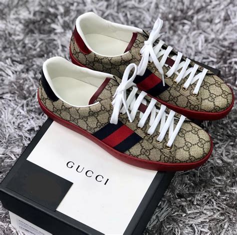 tenis gucci precio.